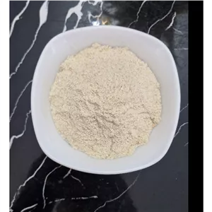 پودر سیر خالص و تازه
