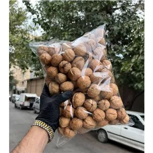 گردو اعلا پوست کاغذی نهاوند 500گرمی