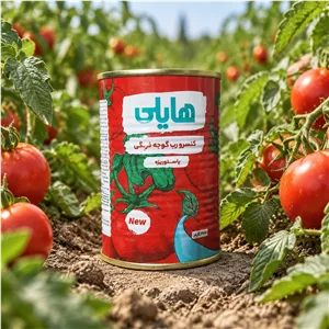کنسرورب گوجه فرنگی هایلی 400گرم قیمت قدیم