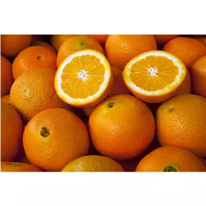 پرتغال،پرتقال ریز (آبگیری)5کیلویی