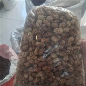 توت خشک مشهد