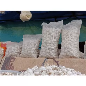 سیر سُرتی همدان