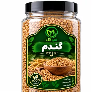 گندم مرغی سی گل