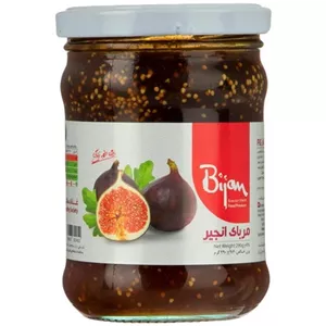 مربا انجیر بیژن (290 گرم)