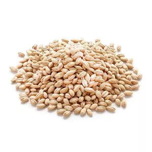 گندم پوست کنده فله (500 گرم)