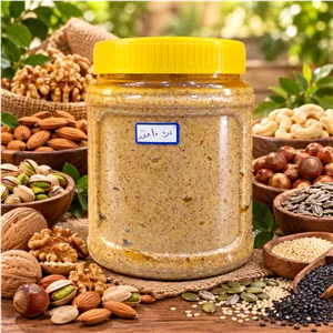 کره 10 مغز