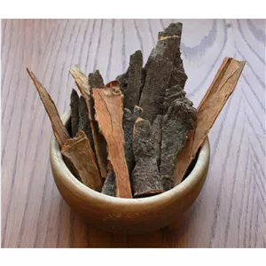 پودر دارچین خالص