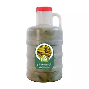 خیارشور دبه ممتاز
