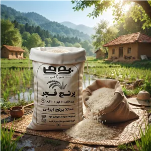 برنج فجر گلستان بومی - 10 کیلوگرم
