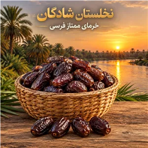 خرمای ممتاز فرسی دست چین نخلستان شادگان 