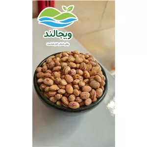 لوبیا چیتی