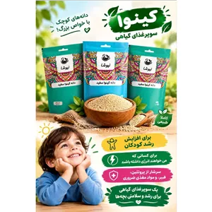 کینوا دانه های کوچک باخواص بزرگ
