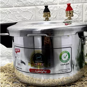 0258_زودپز گازی پارس