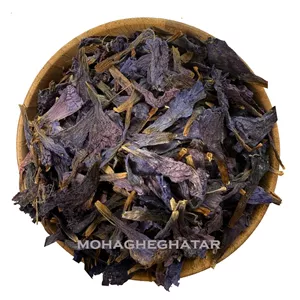 گل گاوزبان