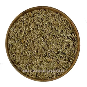 بذر کتان (تخم کتان) مخصوص پرنده