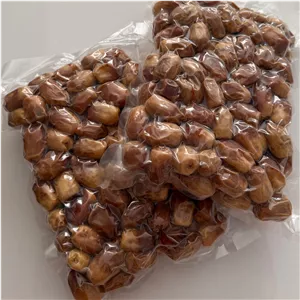 خرما زاهدی تازه