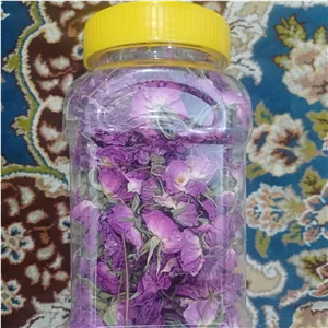 گل محمدی 