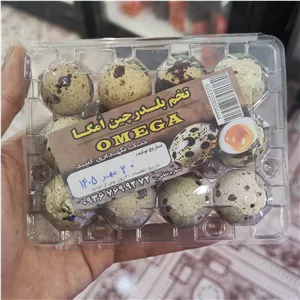 تخم بلدرچین 12عددی سایز درشت  