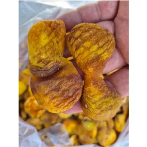 برگه زردآلو شیرین پیوندی 