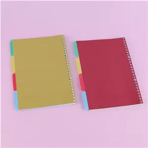 بسته 82 عددی کاغذ کلاسوری 26 حلقه 100 برگ دلوین