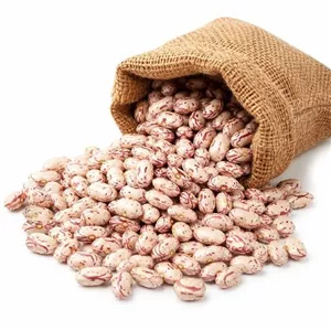 لوبیا چیتی درجه یک محلی