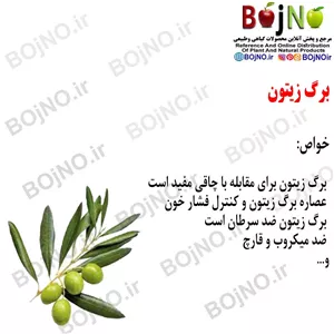 برگ زیتون 200گرمی