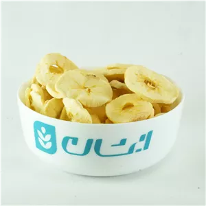 میوه خشک برگه سیب
