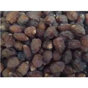 خرما خشک خاصویی درجه یک