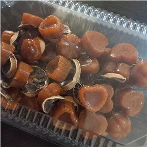 نبات داغ کاراملی 