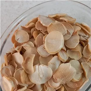 موسیر کوهی خشک شده لرستان 1 کیلو گرم