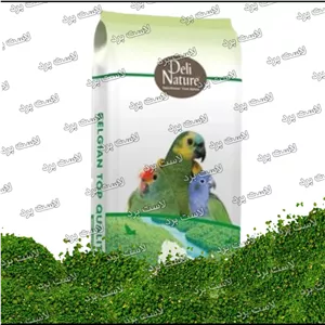 Q پته سبزیجات پرندگان دلی نیچر بلژیک A