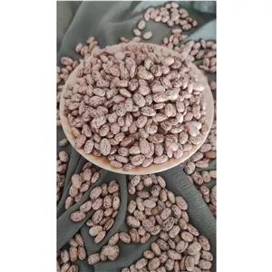 لوبیا چیتی محلی ارگانیک 