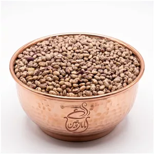 لوبیا چیتی ایرانی