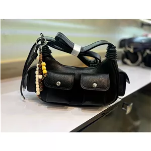 کیف دوربینی