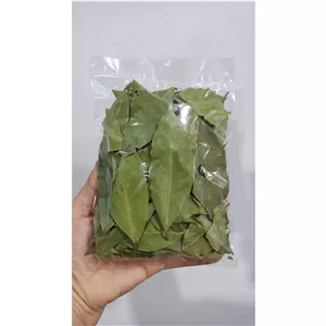 برگ بو