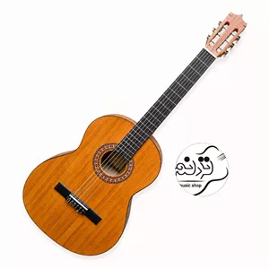 گیتار پارسی P70 + خرید قسطی