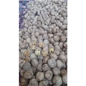 گردوی خشک