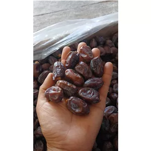 خرما کلوته 