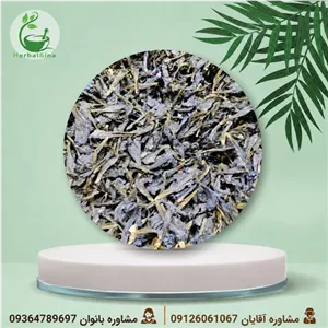 گل گاو زبان