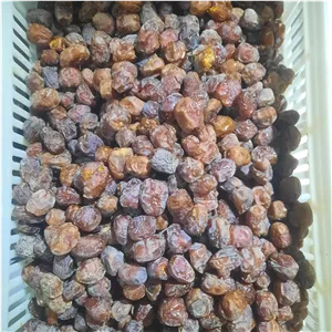 خرمای جاودان خرمای اجیلی