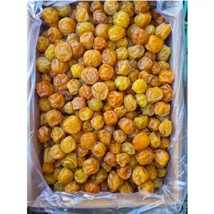 آلوچه طلایی 