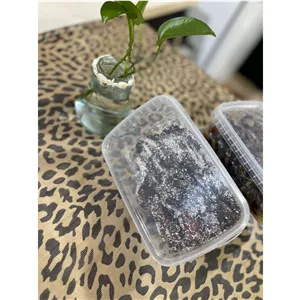 خرمای کبکاب سیاه جنوب 