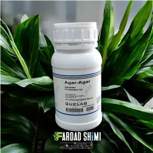 محیط کشت Agar-Agar کیولب