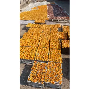 برگ زرد الو خشک