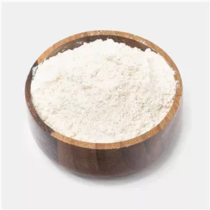 پودر سیر