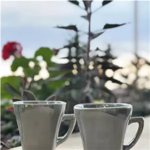 فنجان سرامیکی ساده رنگی