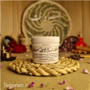گیاه مسور (کاسنی)