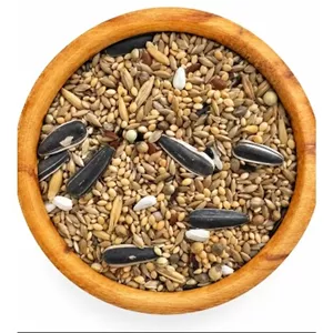 دیلی میکس روزانه طوطیسانان 