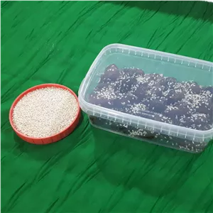 خرمای هسته گیری شده کنجدی