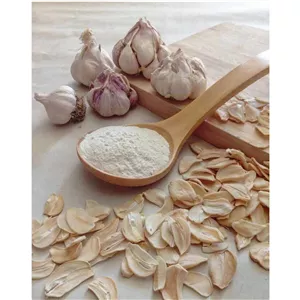 پودر سیر